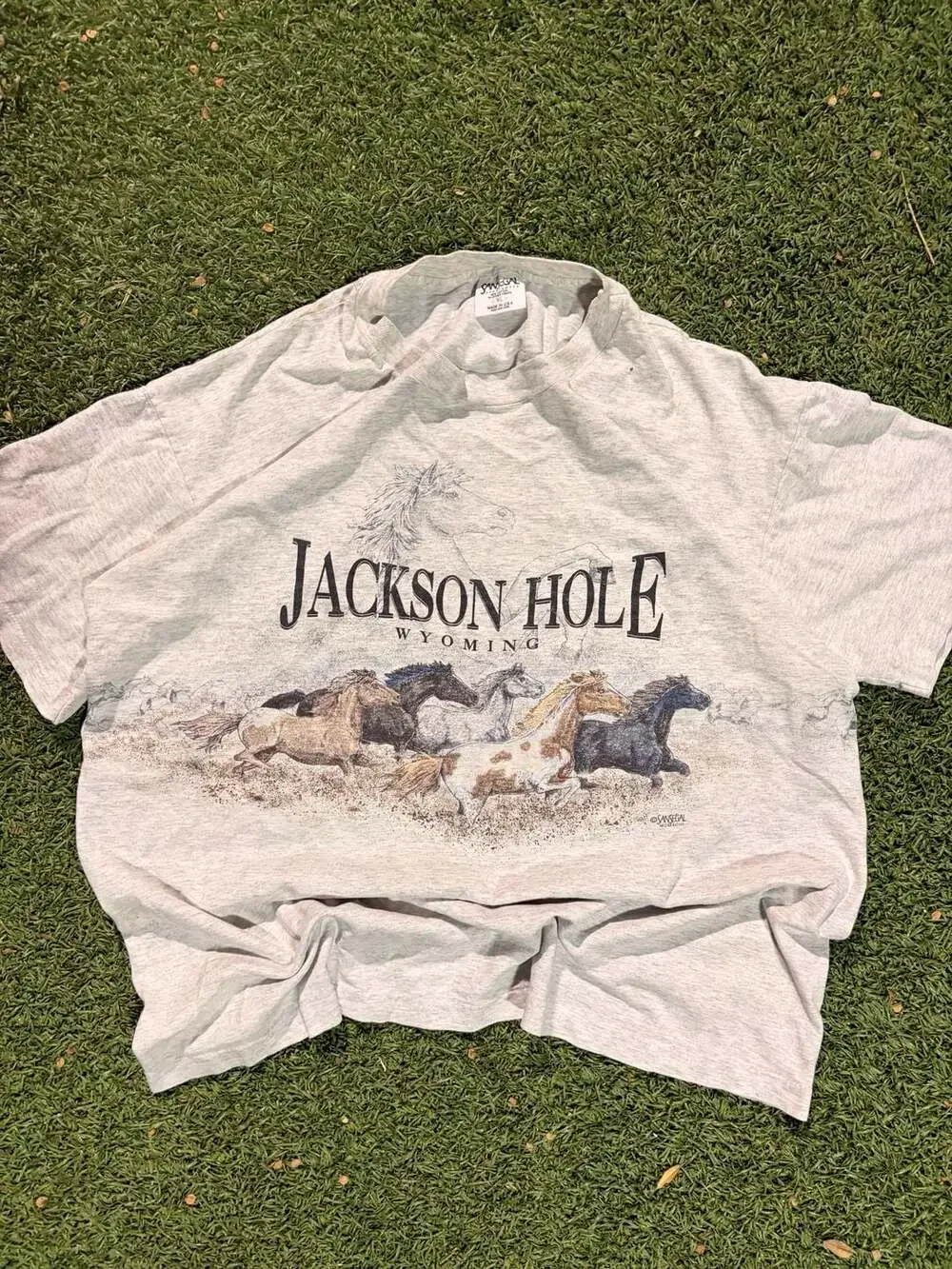 Vintage 90s San Segal Jackson Hole Wyoming Horse Graphic T-Shirt